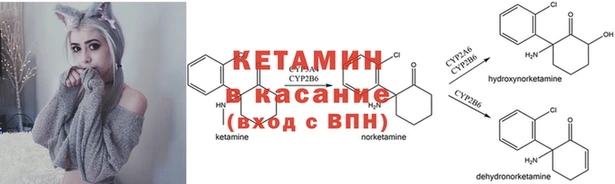 каннабис Арсеньев