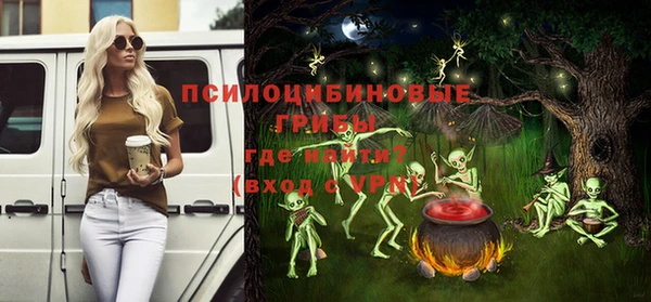 гидра Армянск